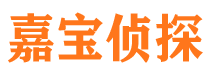 内乡找人公司